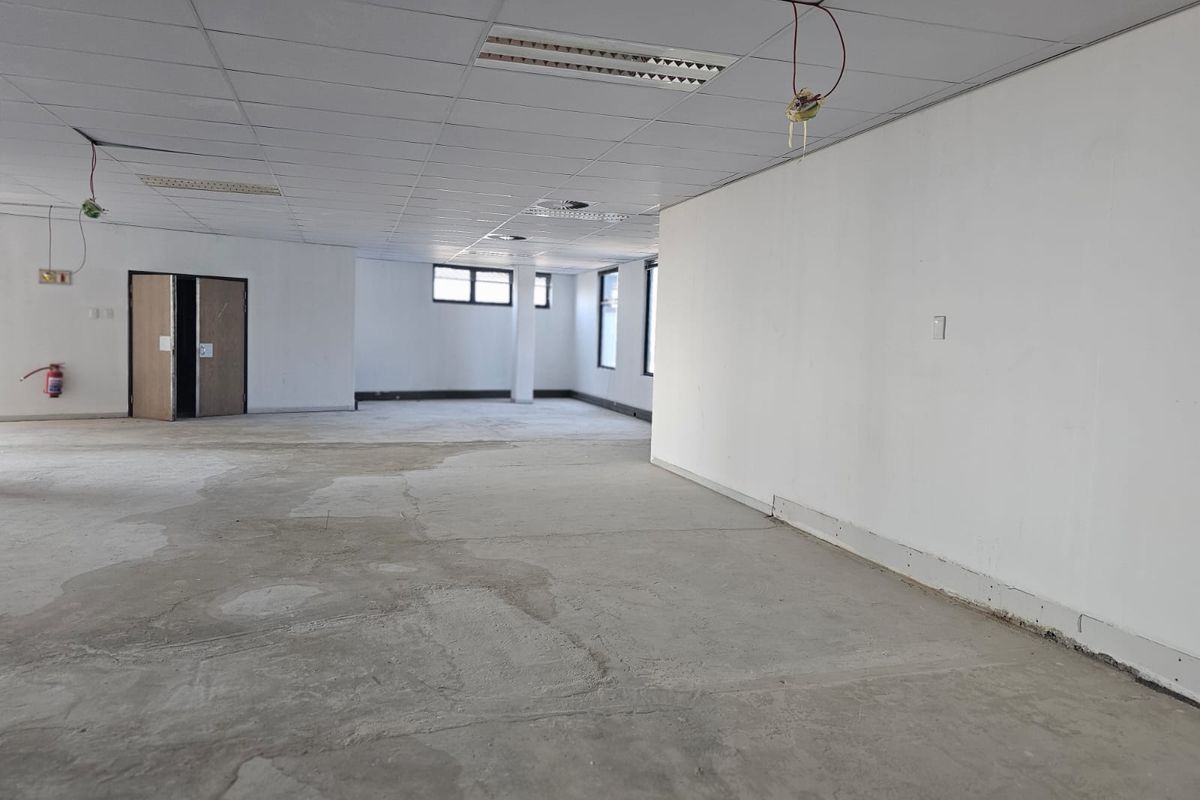 A large, open-plan office space featuring a suspended ceiling, recessed lighting, and unfinished concrete flooring, ready for custom fit-out.