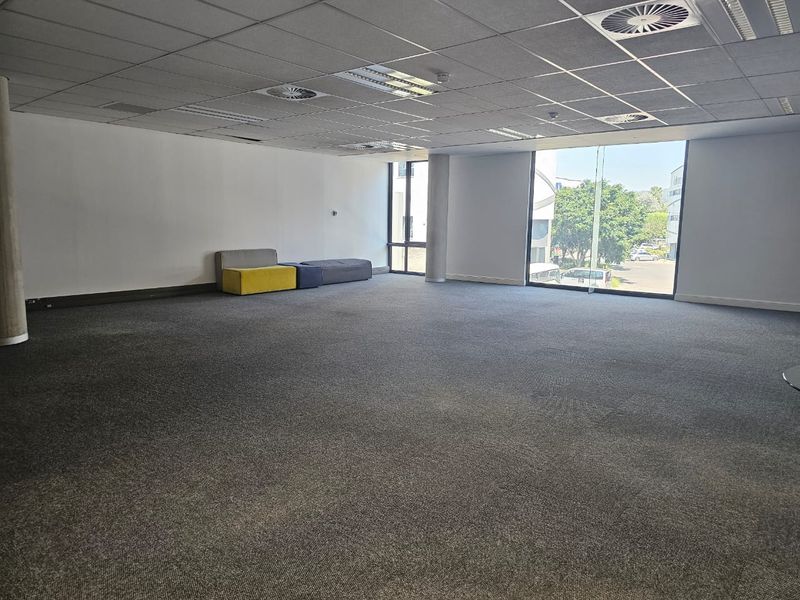 Spacious open-plan office area featuring a suspended ceiling, recessed lighting, carpeted flooring, and large windows providing ample natural light.