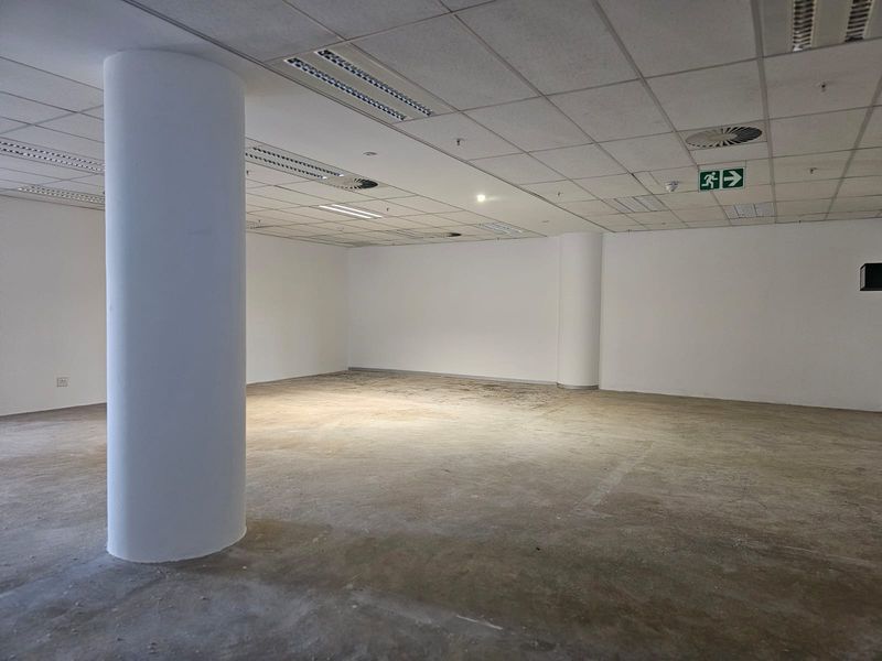 An empty, open-plan office space featuring a suspended ceiling, recessed lighting, and structural columns with unfinished concrete flooring.