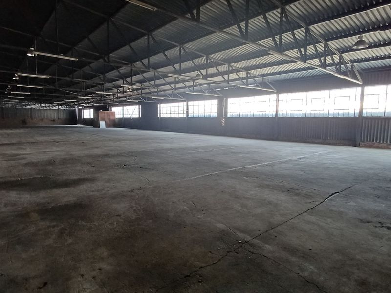 Expansive industrial warehouse space featuring high exposed steel trusses, concrete flooring, and large clerestory windows providing ample natural light.