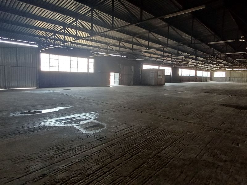 A large, open-plan industrial warehouse space featuring exposed steel roof trusses, concrete flooring, and high-level windows for natural light.