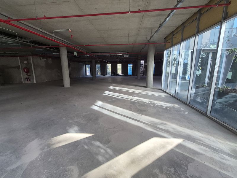 Spacious open-plan office shell featuring exposed concrete ceilings, structural columns, and large floor-to-ceiling windows providing ample natural light.