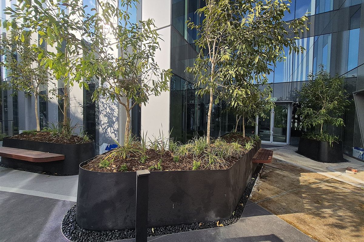 Modern office courtyard featuring contemporary metal planters with integrated timber seating and extensive glass facade elements.