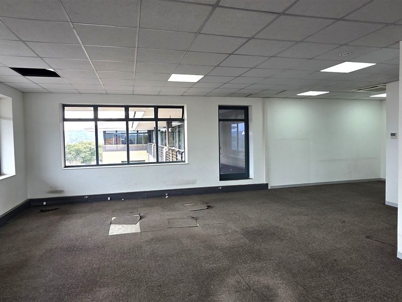 An empty, open-plan office space featuring suspended ceilings, recessed lighting, and large windows providing natural light and exterior views.