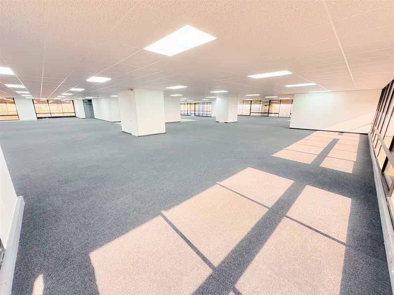 A spacious, open-plan office area featuring neutral carpeting, a suspended ceiling with recessed lighting, and large windows providing ample natural light.