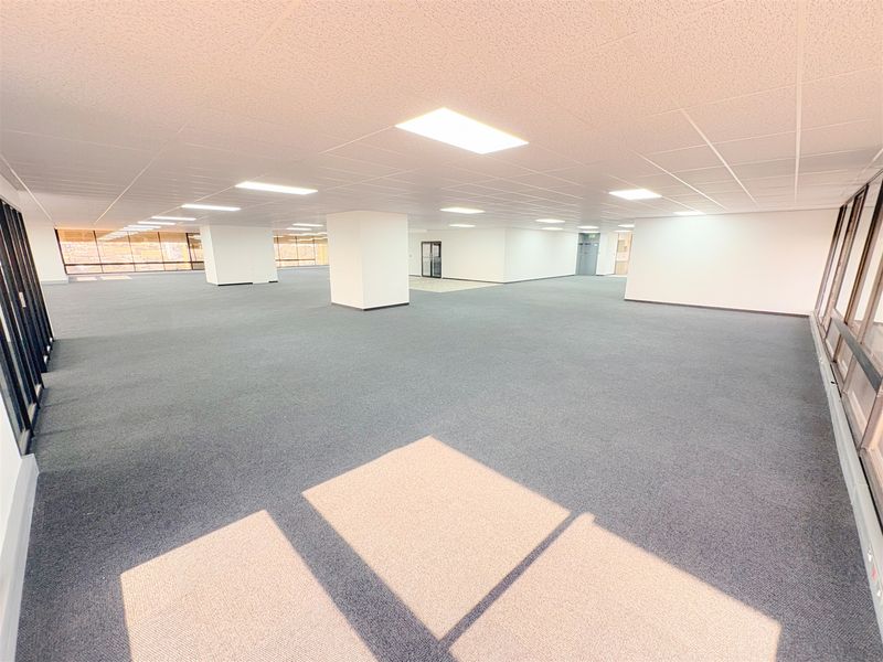 A spacious, open-plan office area featuring neutral carpeting, suspended ceilings with recessed lighting, and large windows providing ample natural light.