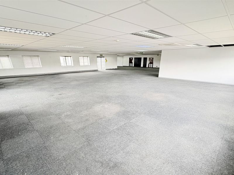 A large, open-plan office space featuring a suspended ceiling with recessed lighting and carpeted flooring, offering a versatile layout for various business configurations.