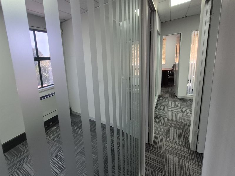 Modern office space featuring glass partition walls, carpet tiles, and a suspended ceiling, providing a professional and bright working environment.