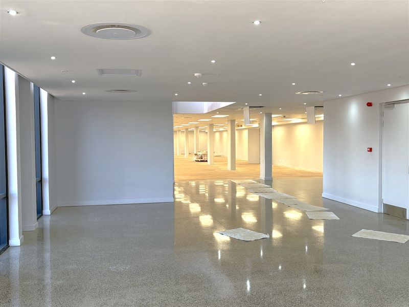 Spacious open-plan industrial office area featuring polished concrete floors, modern recessed lighting, and structural columns, offering a clean and versatile workspace.