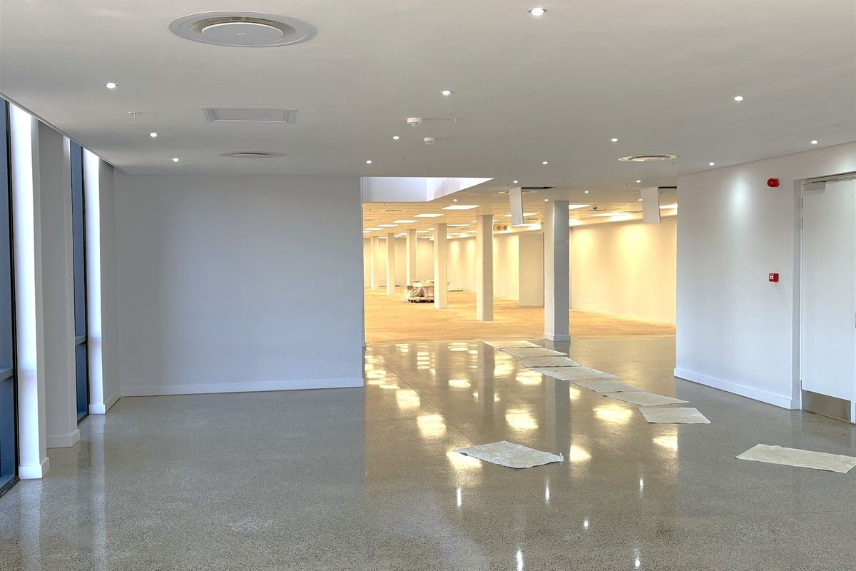 Spacious open-plan industrial office area featuring polished concrete floors, modern recessed lighting, and structural columns, offering a clean and versatile workspace.