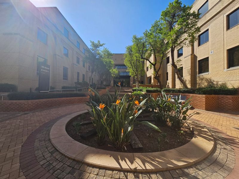 TO LET | A-Grade Standalone Offices | 2 835 m2 | Nieuw Muckleneuk / Brooklyn, Pretoria - Photo 2
