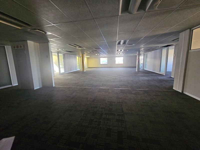 Spacious open-plan office area featuring a suspended ceiling, recessed lighting, and glass partitioning, offering a versatile workspace ready for custom configuration.
