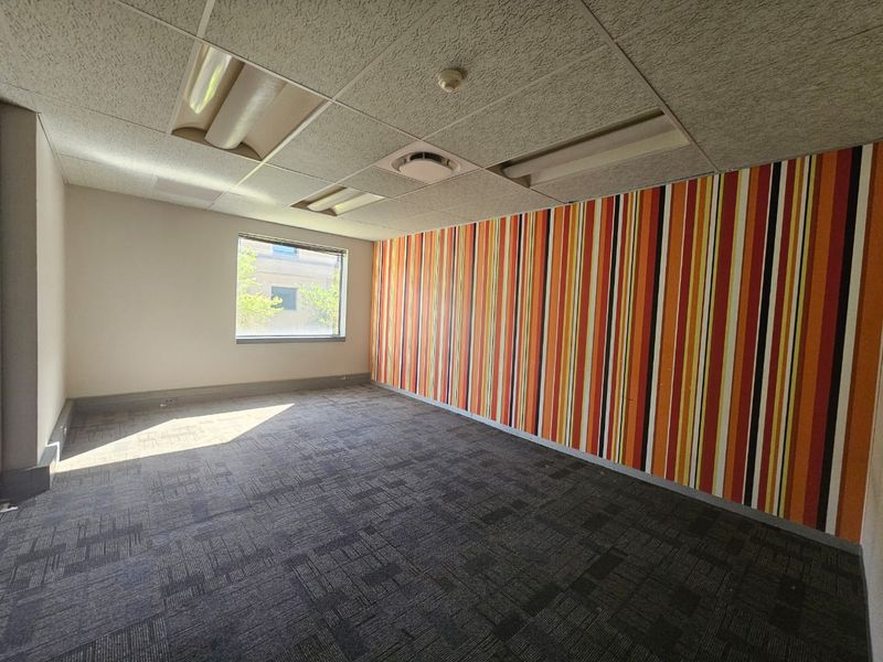 A vacant office space featuring carpet tiles, a suspended ceiling with recessed lighting, and a vibrant striped feature wall.