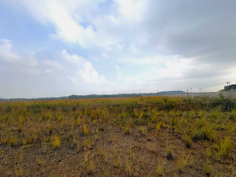Prime Logistics Development Opportunity | Cornubia Ridge Logistics Park - Photo 5