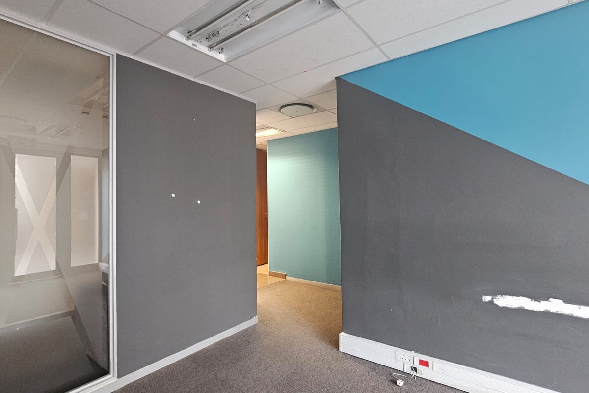 An empty office space featuring a glass partition, carpeted flooring, and a suspended ceiling with recessed lighting, showing some minor wall surface wear.