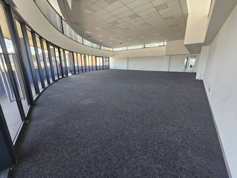 Spacious, open-plan office area featuring curved floor-to-ceiling windows, suspended ceiling tiles, and neutral carpet flooring, offering a bright and professional workspace.