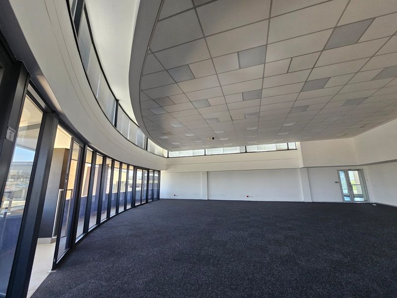 A spacious, empty open-plan office area featuring a curved glass facade, suspended ceiling, and dark carpeting, offering a bright and professional workspace.