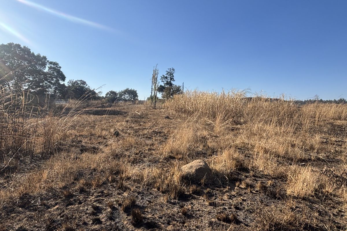 A view of a vacant commercial land plot featuring natural vegetation and signs of recent ground clearing.