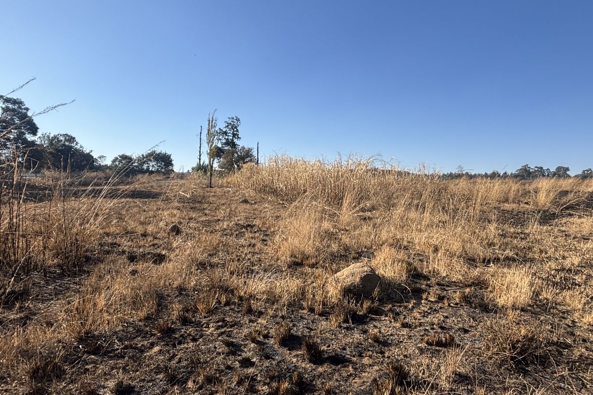 An open, undeveloped plot of vacant commercial land featuring dry grass and natural terrain under a clear blue sky.