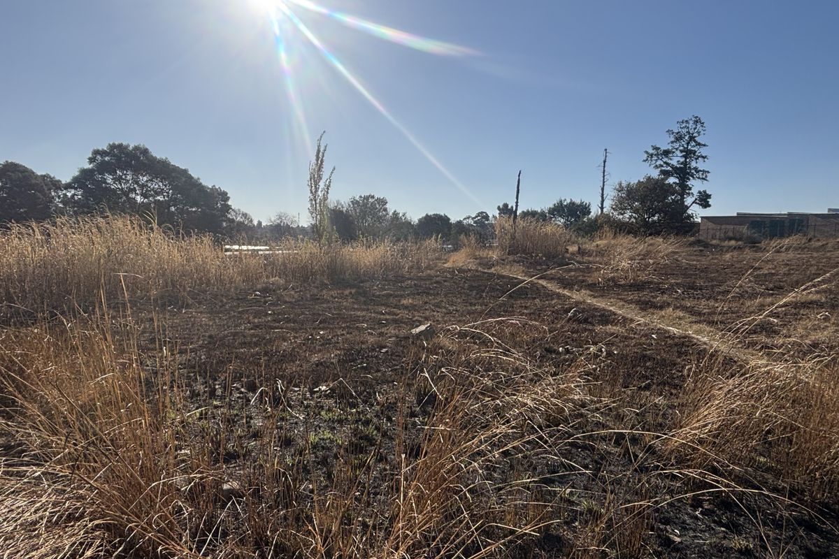 A view of a vacant commercial land plot featuring dry grass and natural vegetation under a clear sky.