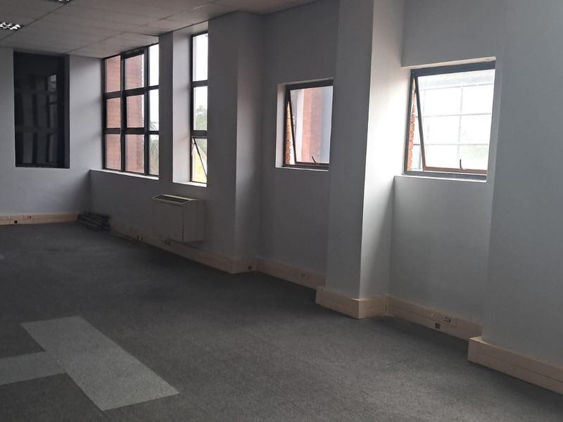A spacious, vacant office area featuring large windows, suspended ceiling tiles, and carpeted flooring, providing a bright and functional workspace.
