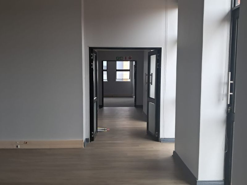 A bright, open-plan office space featuring modern wood-look flooring, neutral walls, and glass-paneled doors leading to an adjacent office area.