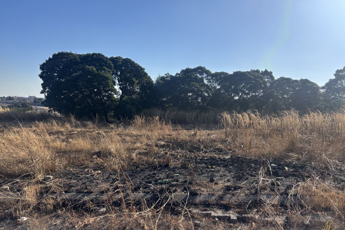 A view of a vacant commercial land plot featuring mature trees and visible signs of fire damage to the ground cover.