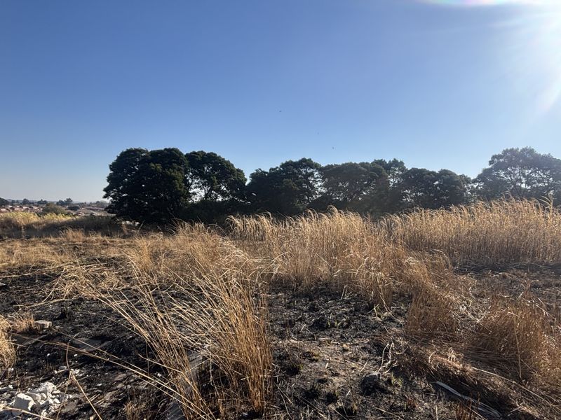 Perfect Location - Photo 6