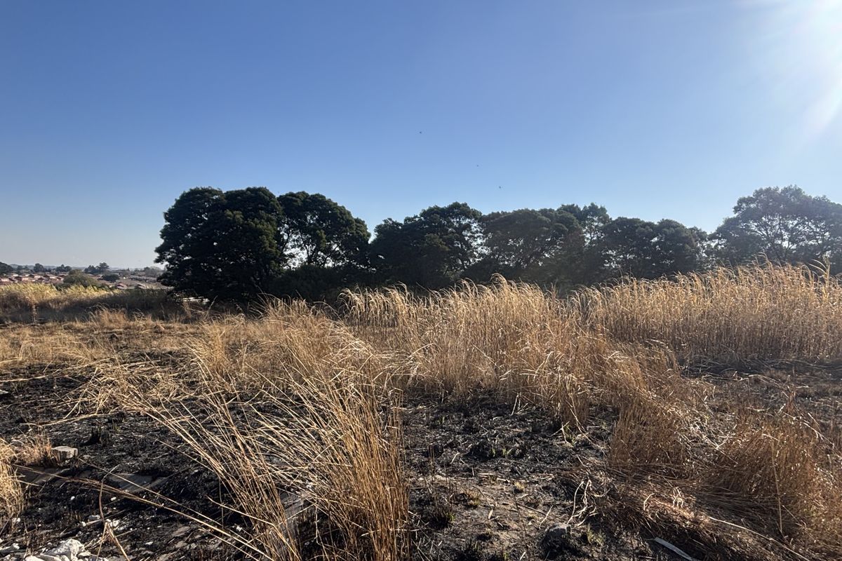 A view of a vacant commercial land plot featuring dry grass, scorched ground, and mature trees in the background.