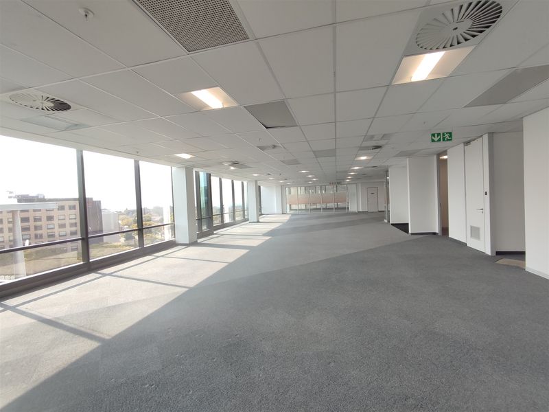 A spacious, open-plan office area featuring large floor-to-ceiling windows, neutral carpeting, and a modern suspended ceiling with integrated lighting and air conditioning.