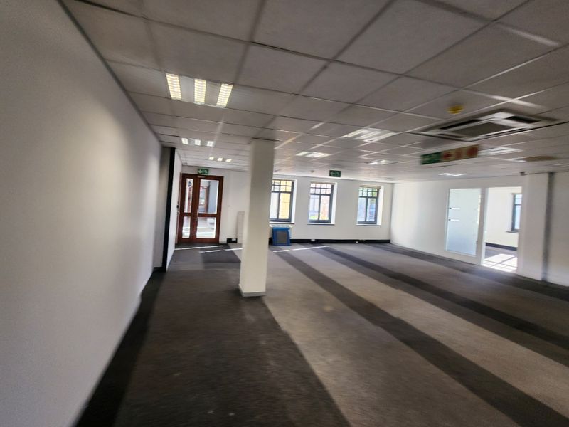 A spacious, vacant open-plan office area featuring a suspended ceiling, recessed lighting, and carpeted flooring, suitable for a professional workspace setup.