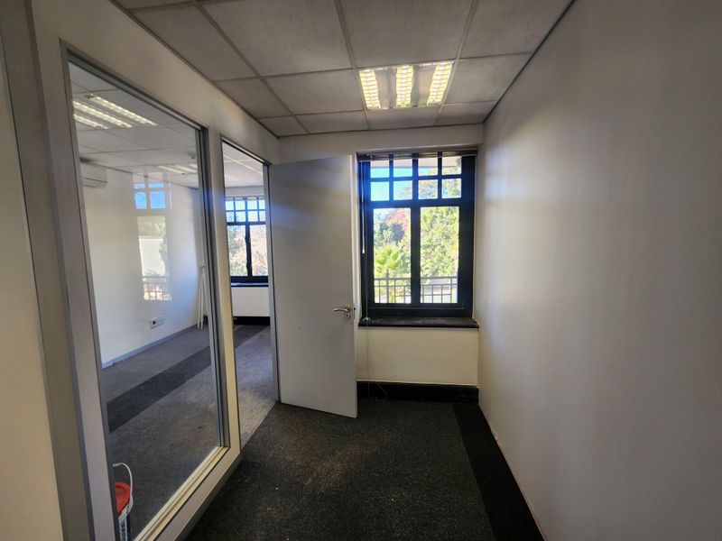 Empty office space featuring glass partitioning, suspended ceilings with recessed lighting, and large windows providing natural light.