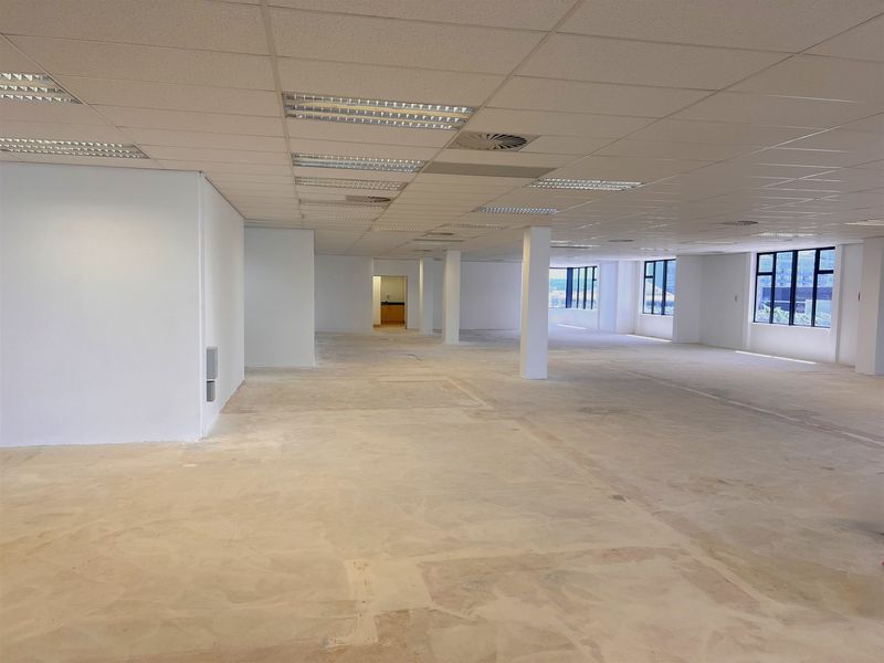 A spacious, open-plan office area featuring a suspended ceiling with recessed lighting, structural columns, and large windows providing ample natural light.