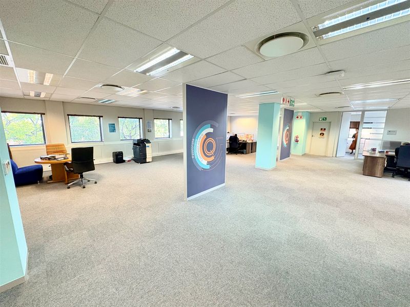 Open-plan office space featuring a suspended ceiling, recessed lighting, and neutral carpeting, providing a functional and professional work environment.