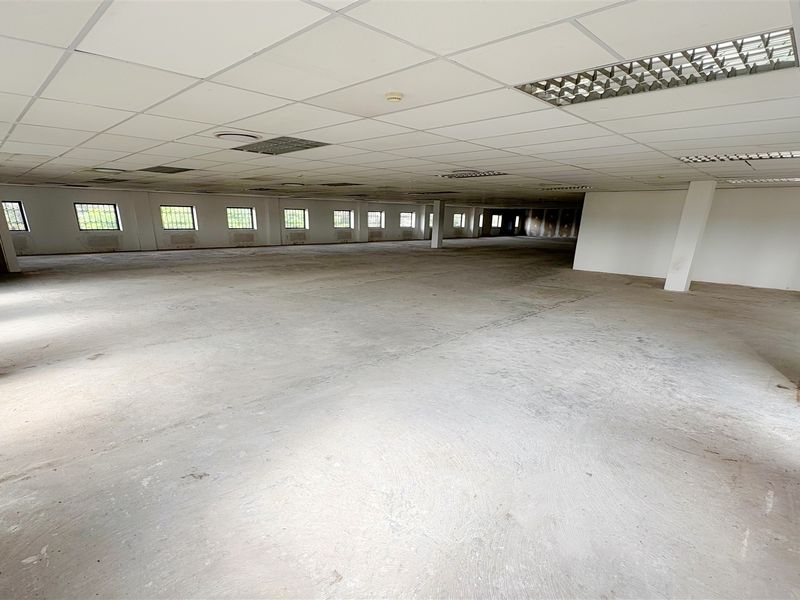 A large, open-plan office space featuring a suspended ceiling, recessed lighting, and security-barred windows, currently in a vacant, shell-like condition.