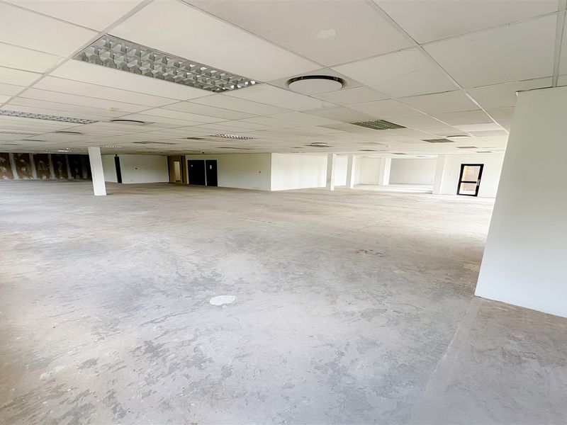 A large, open-plan office space featuring a suspended ceiling with recessed lighting and unfinished concrete flooring, offering a blank canvas for custom fit-outs.