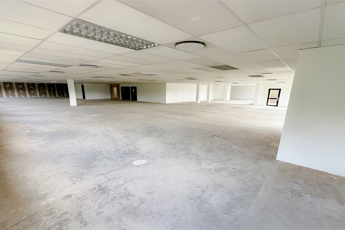 A large, open-plan office space featuring a suspended ceiling with recessed lighting and unfinished concrete flooring, offering a blank canvas for custom fit-outs.