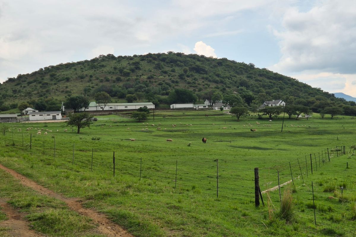 1940 Ha Executive Style Commercial farm for sale in Ingogo - Photo 3