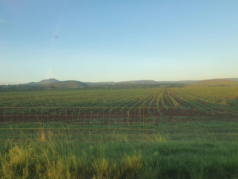 A scenic view of expansive agricultural farmland with rolling hills in the background, enclosed by wire mesh fencing.