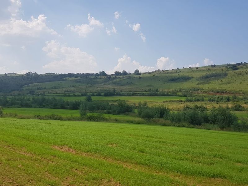 Expansive view of the rolling green hills and open farmland landscape, showcasing the natural beauty and vast space of the property.