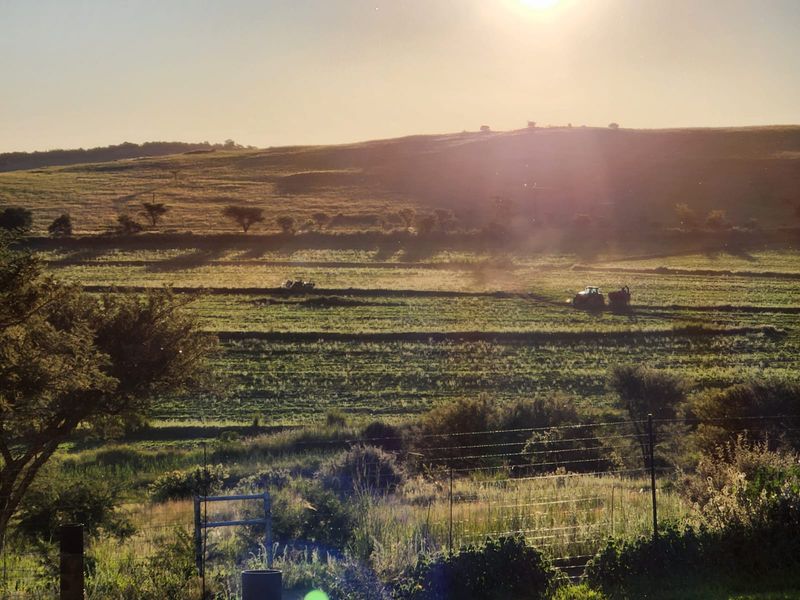 A scenic view of expansive agricultural farmland at sunset, featuring rolling hills and open fields.