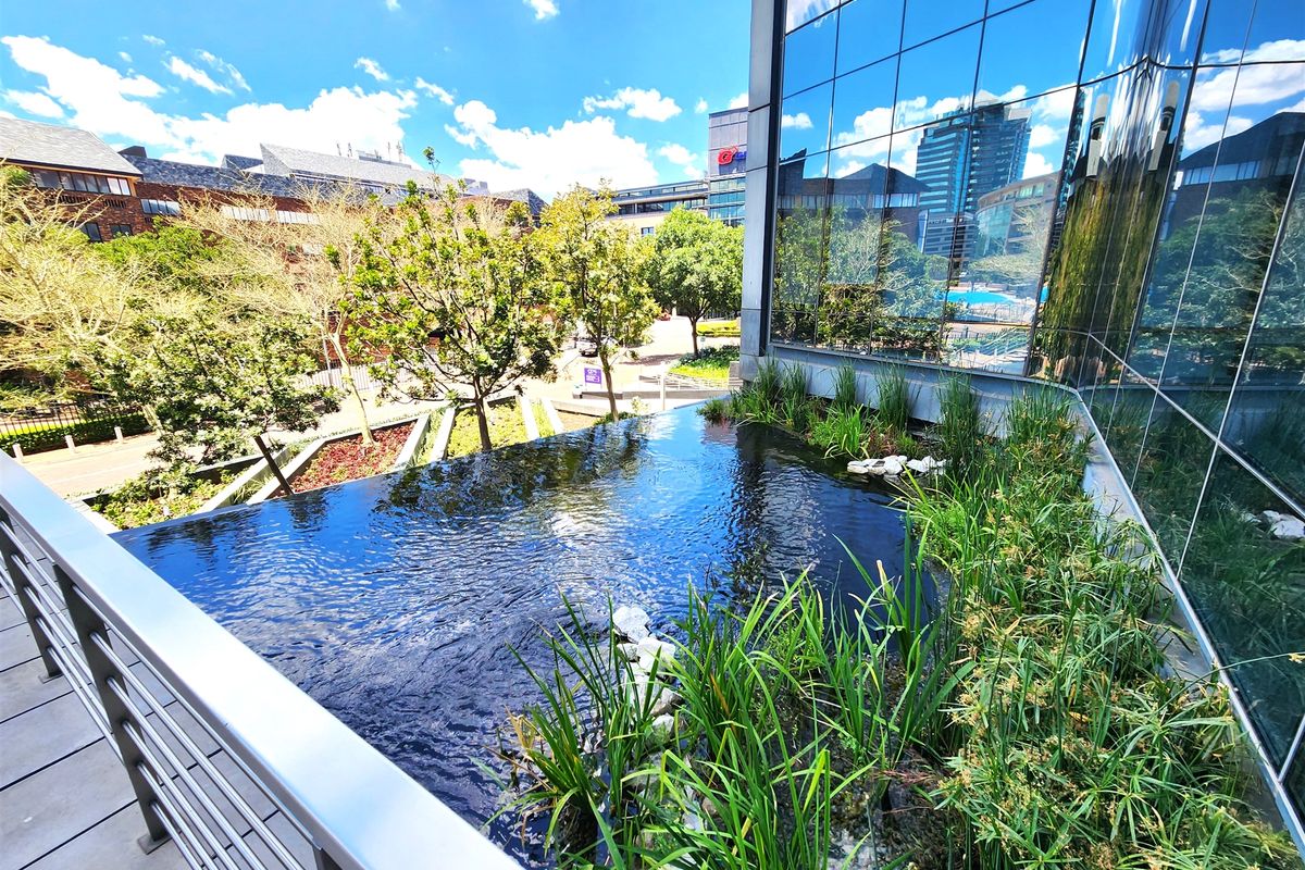 Modern office building exterior featuring a reflective glass facade, a tranquil water feature, and landscaped garden area with metal safety railings.