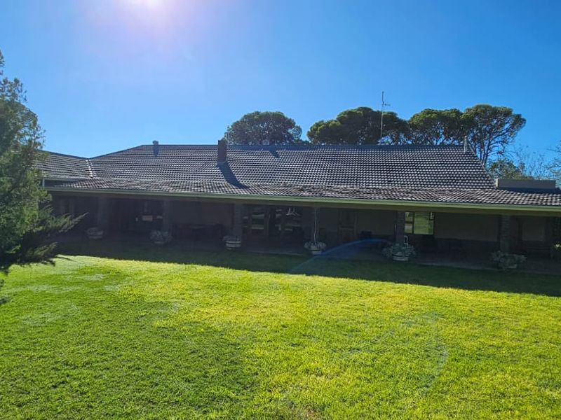 Rear view of a farm property featuring a large covered patio area, tiled roof, and expansive surrounding lawn.