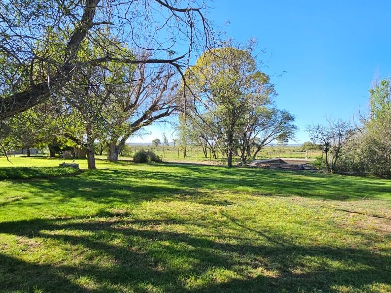 A spacious, well-maintained garden area on the farm property, featuring mature trees and expansive green lawn space.