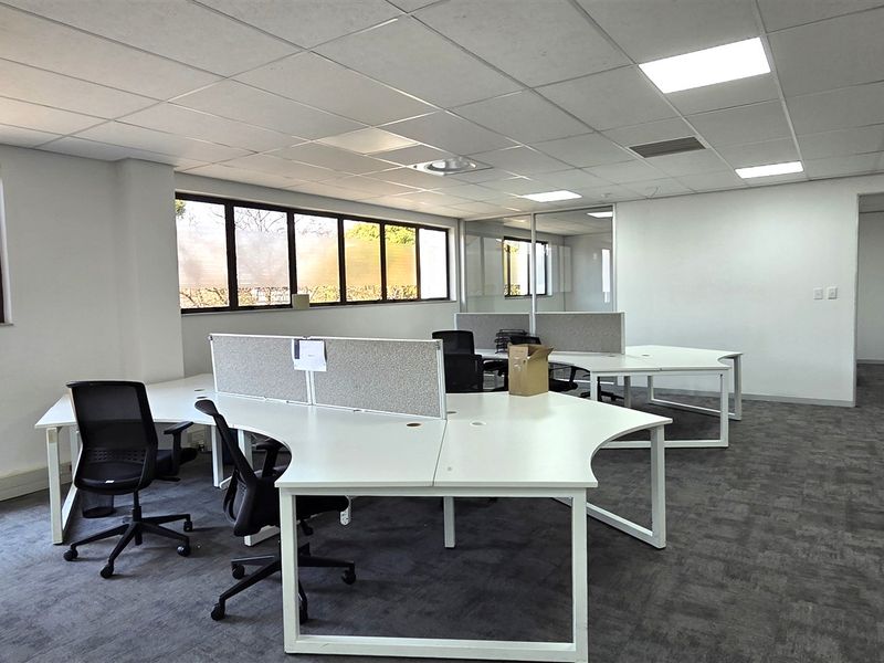 A bright, open-plan office space featuring a suspended ceiling, recessed lighting, and carpeted flooring, providing a functional and professional work environment.