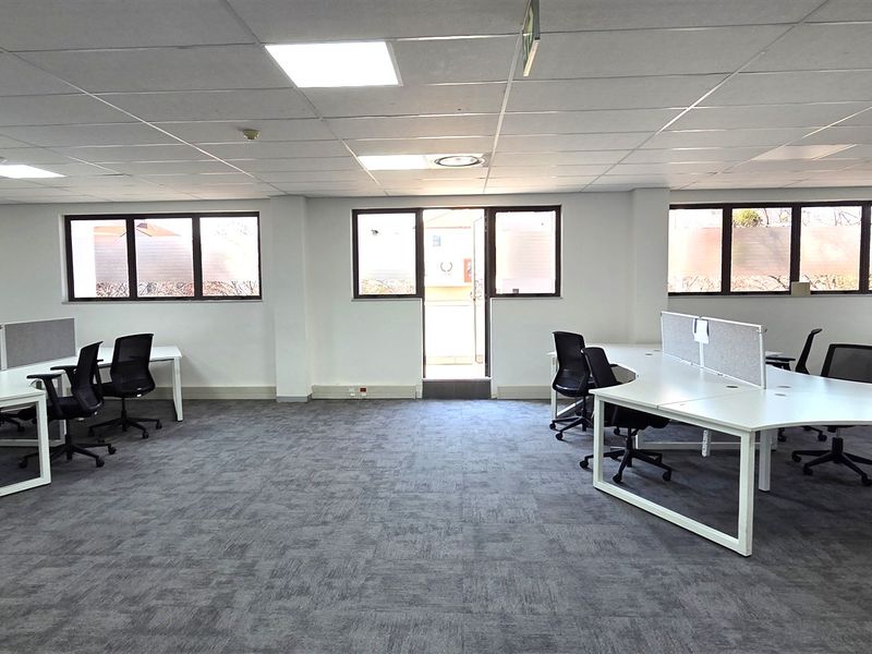 Spacious open-plan office area featuring carpeted flooring, suspended ceilings with recessed lighting, and large windows providing ample natural light.