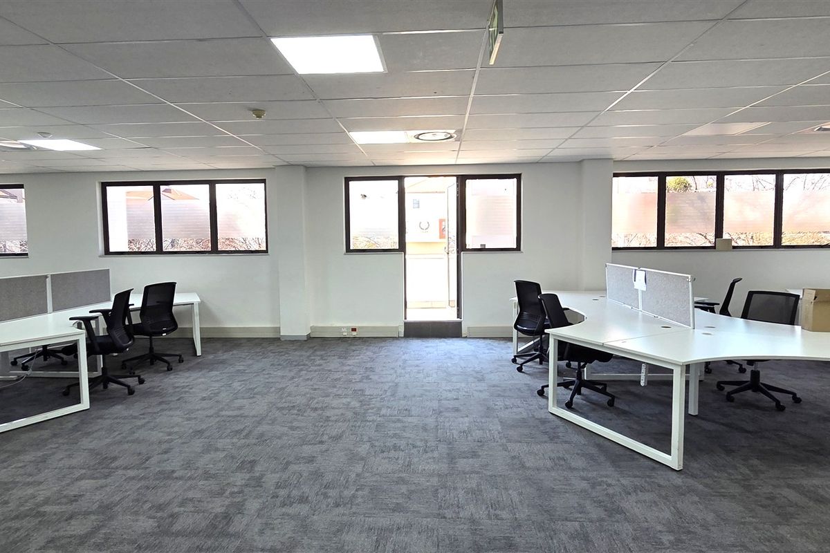 Spacious open-plan office area featuring carpeted flooring, suspended ceilings with recessed lighting, and large windows providing ample natural light.
