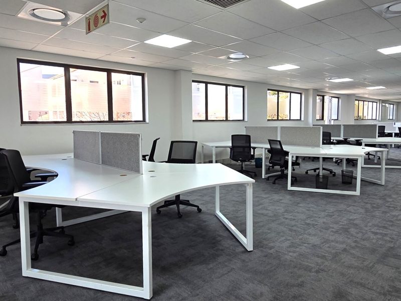 Spacious open-plan office area featuring modern carpeted flooring, suspended ceilings with recessed lighting, and large windows providing ample natural light.