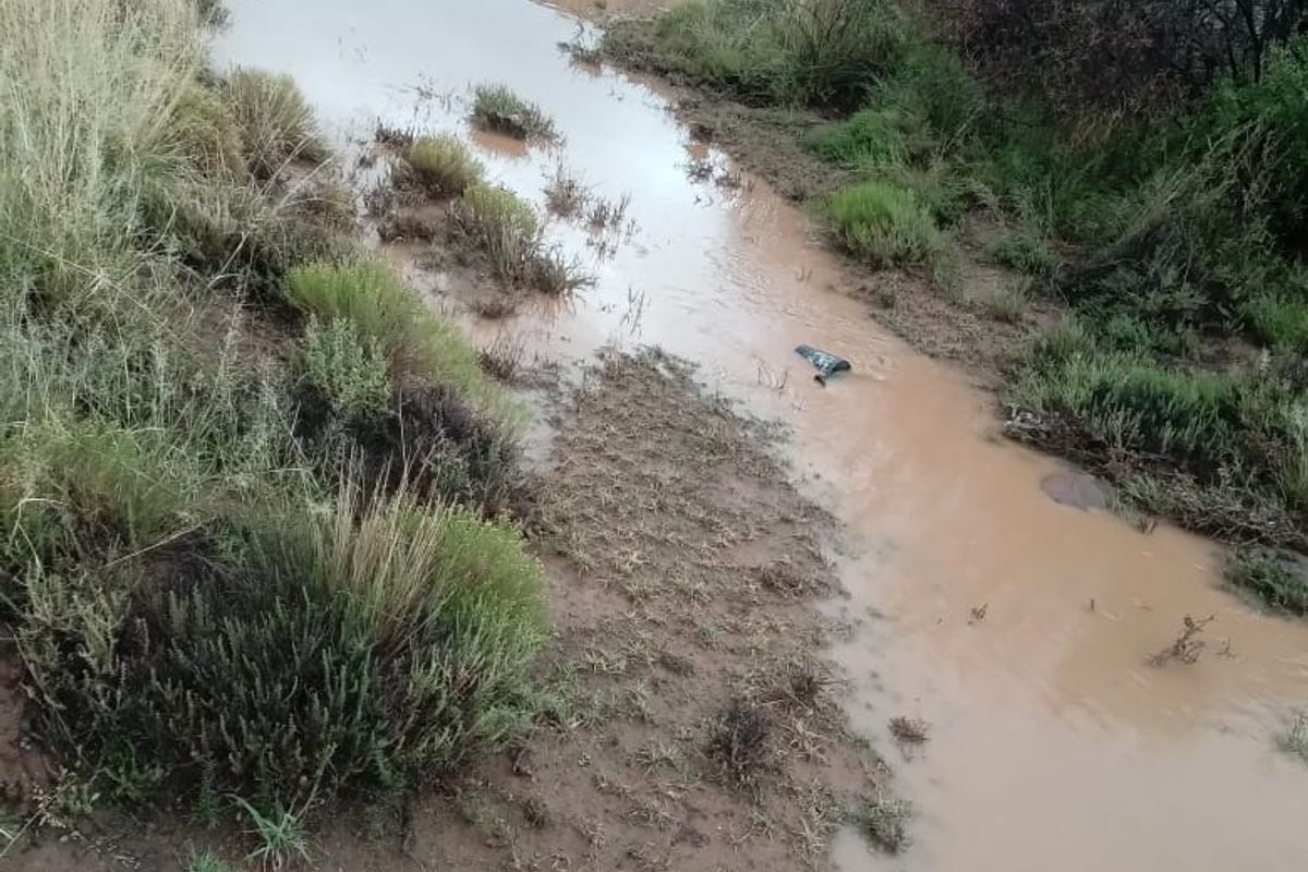 Farm For Sale In Richmond - Photo 5