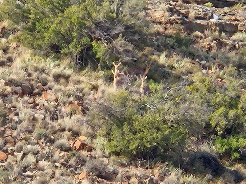 A scenic view of the natural landscape on the farm, featuring rocky terrain, indigenous vegetation, and local wildlife.